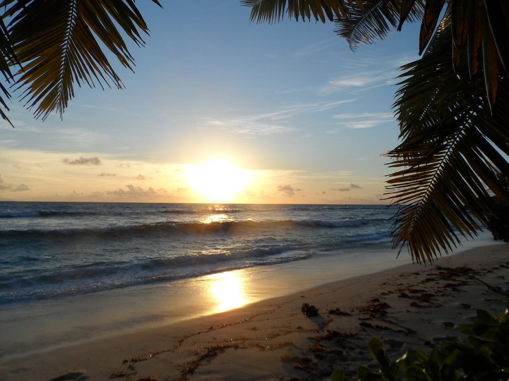 Anse Kerlan Beach Chalets מראה חיצוני תמונה